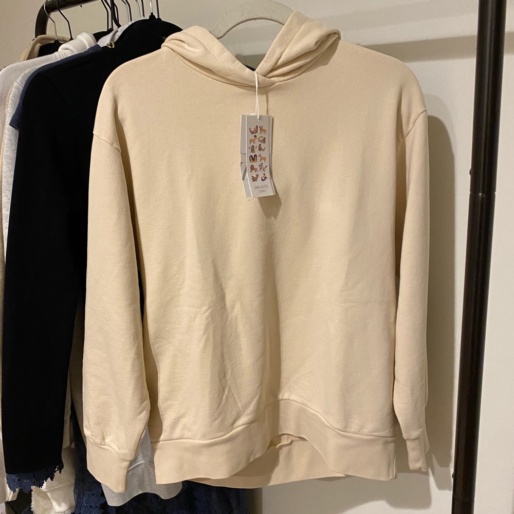ZARA OVERSIZED HOODIE